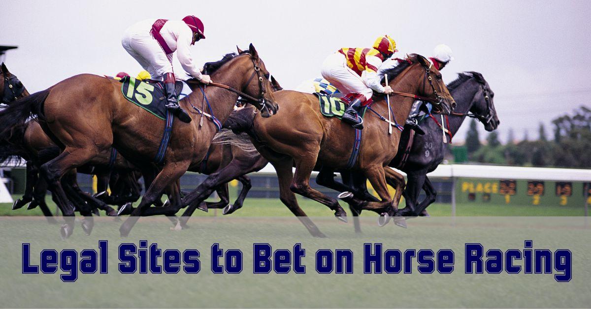 where-to-bet-on-horses-online-online-horse-betting-guide